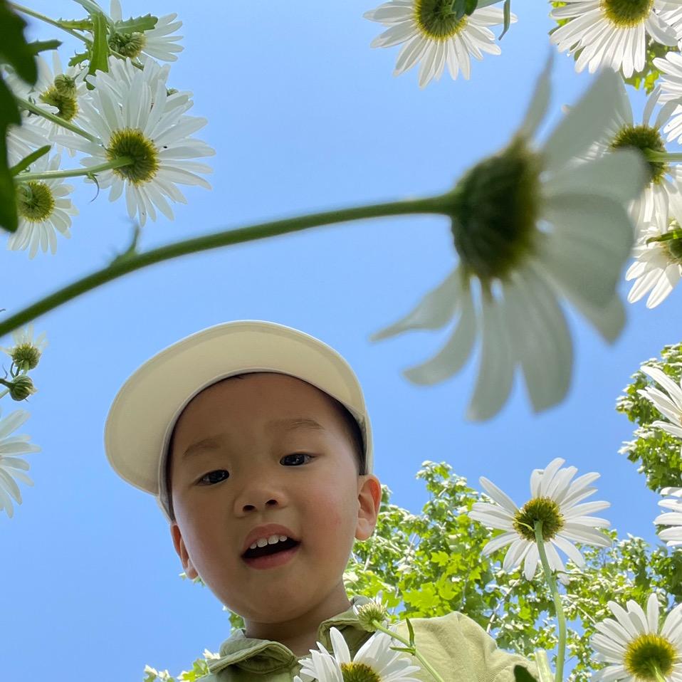筱漾