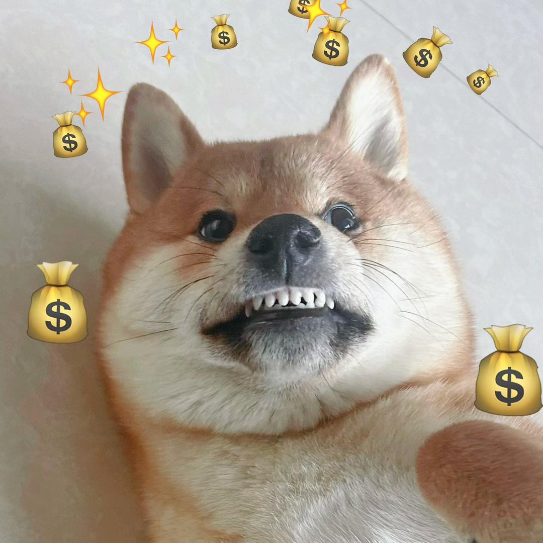 柴犬到底谁在养