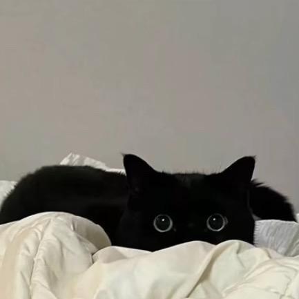 𝙔𝙪𝙤𝙫𝙤𝙞.