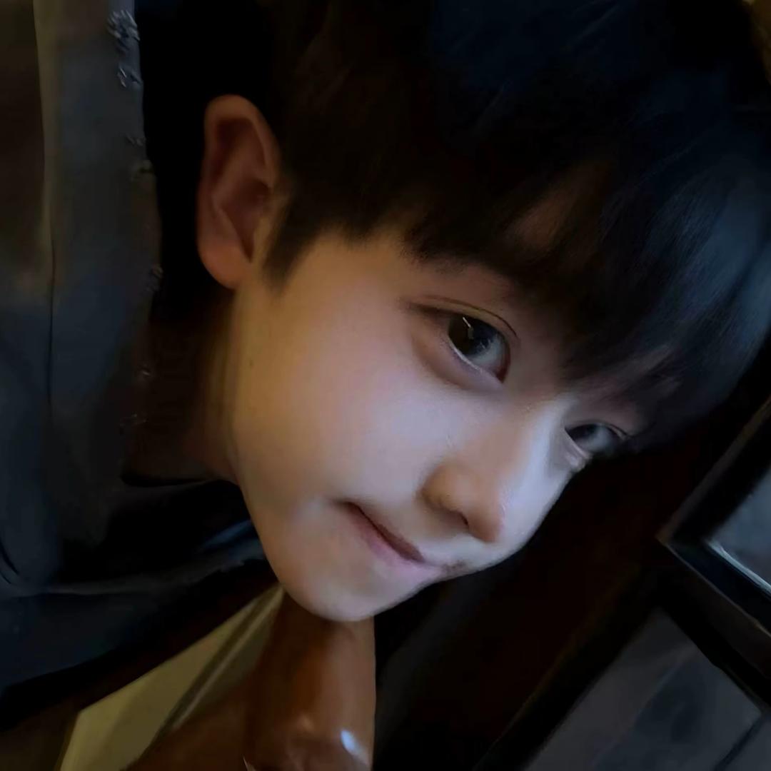 .  梨    花    猫