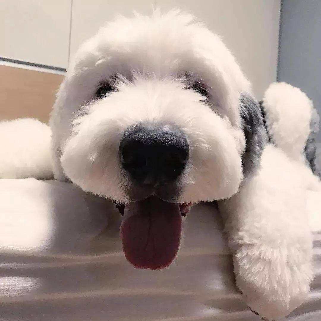 裁缝小王