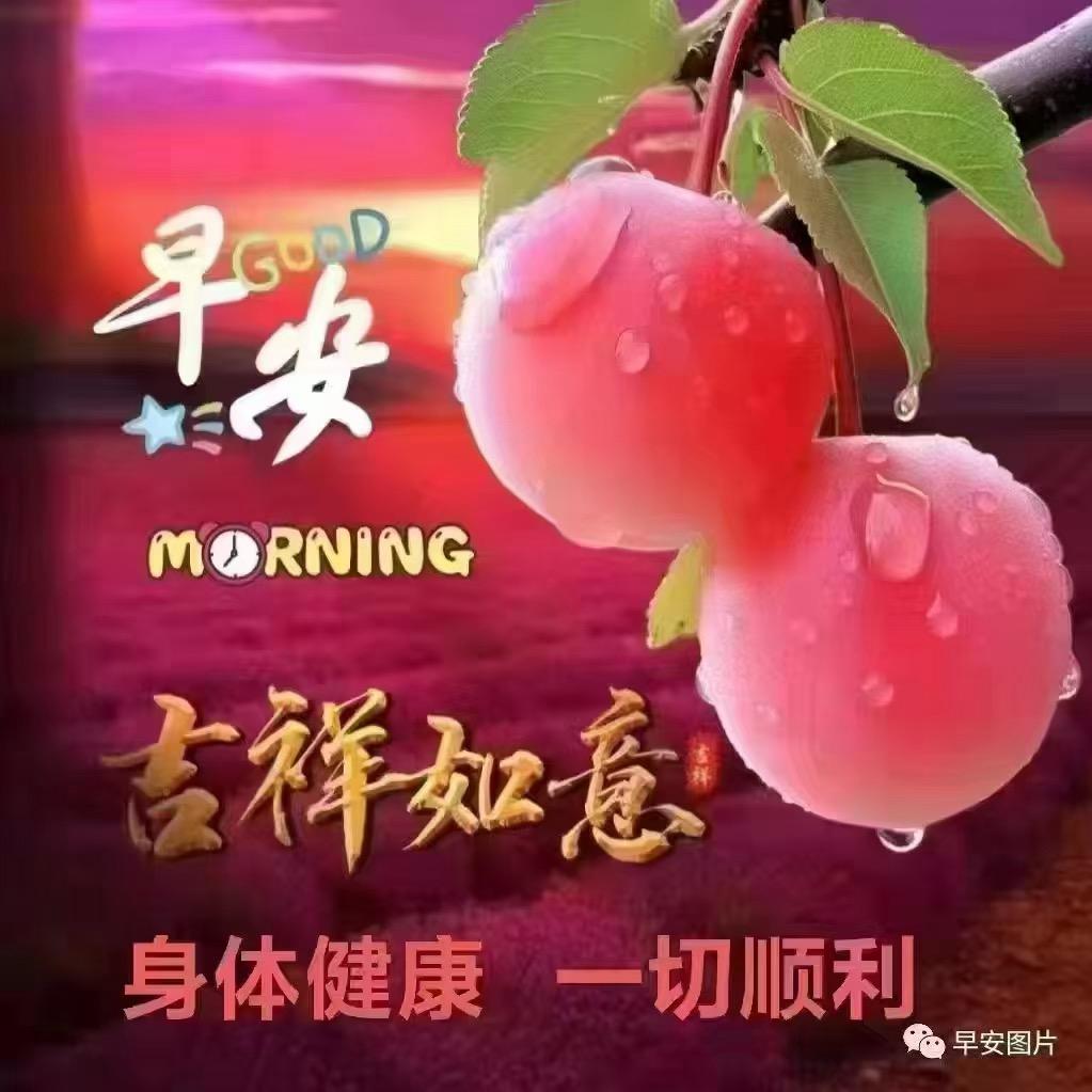 哇噻姐