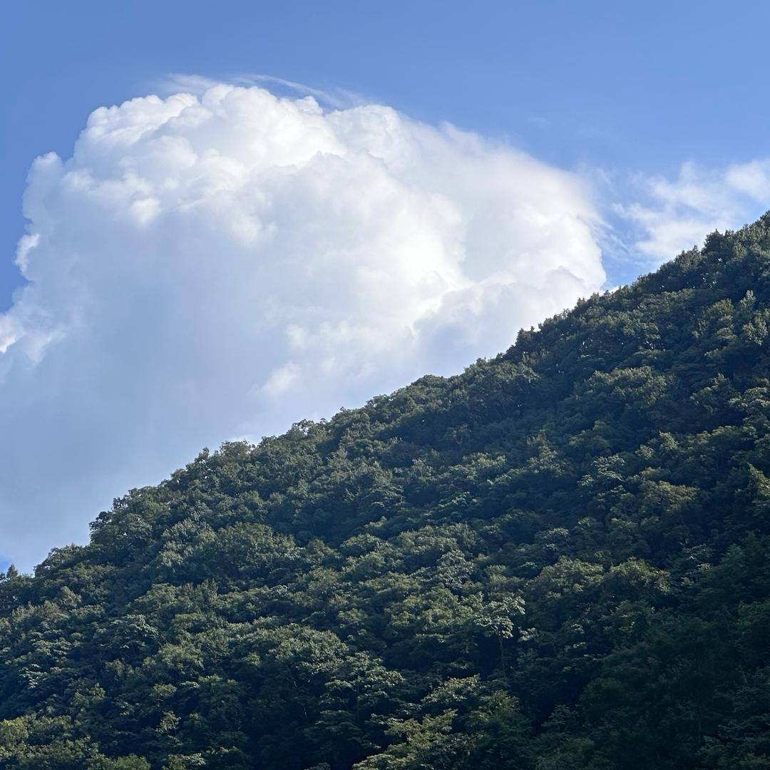 看不懂也不明白