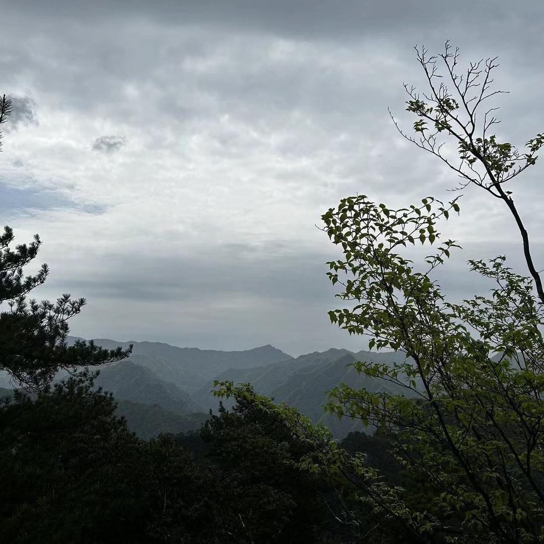 。。。。。。。。