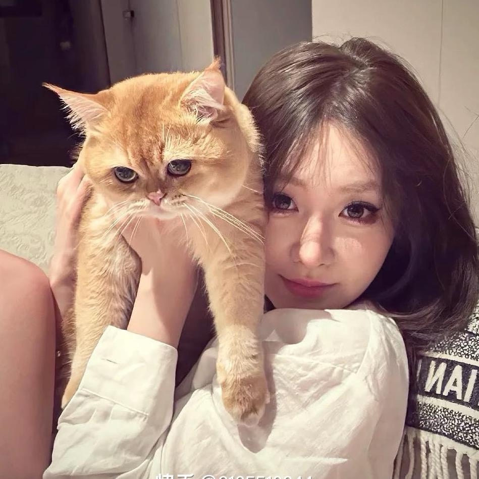A-周板命