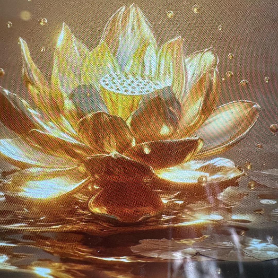 憼心