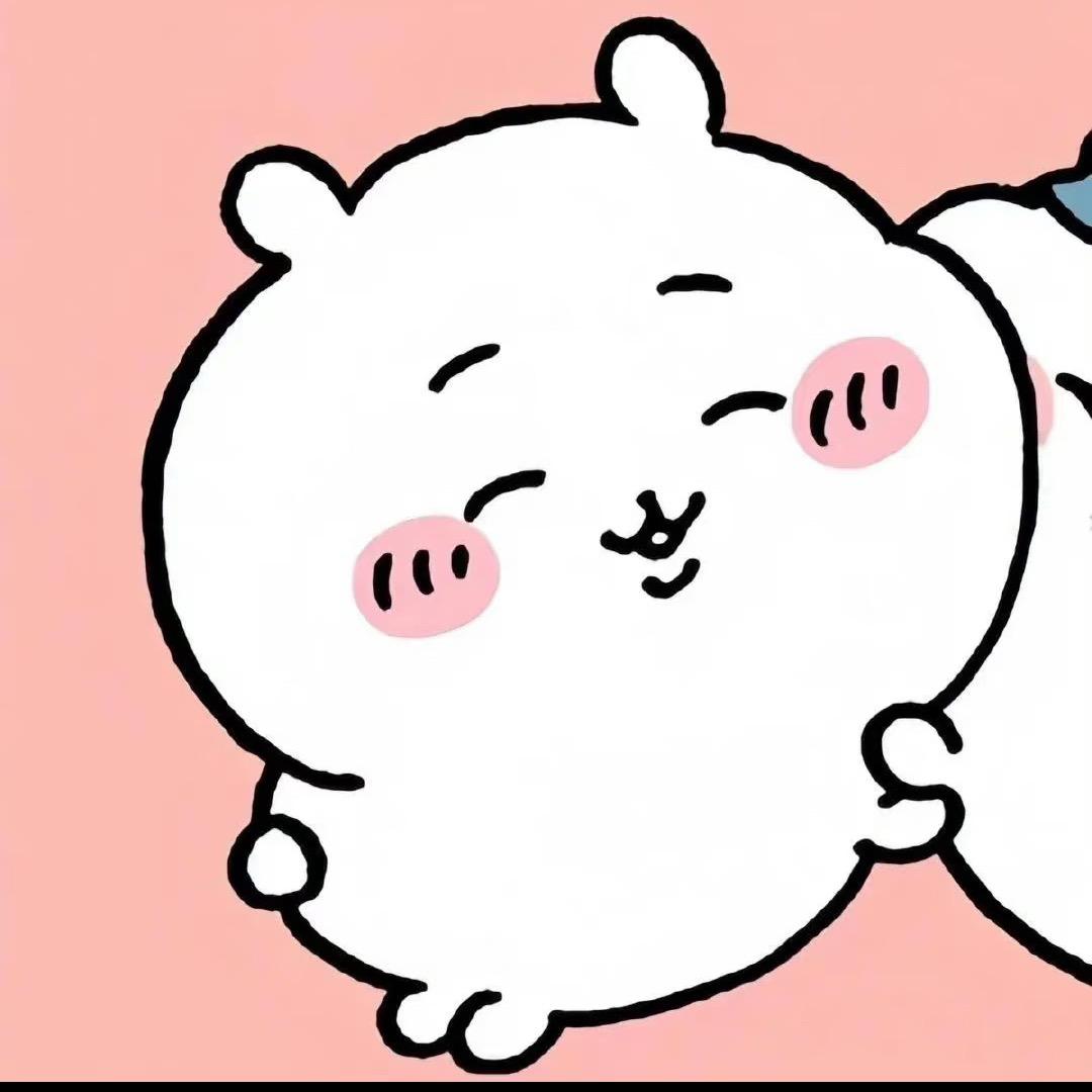 好运菜包本包