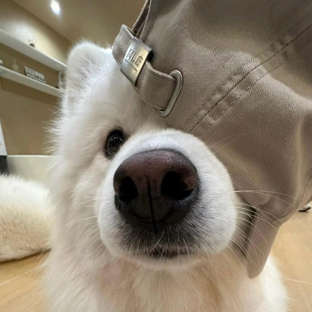 银湖租房小云