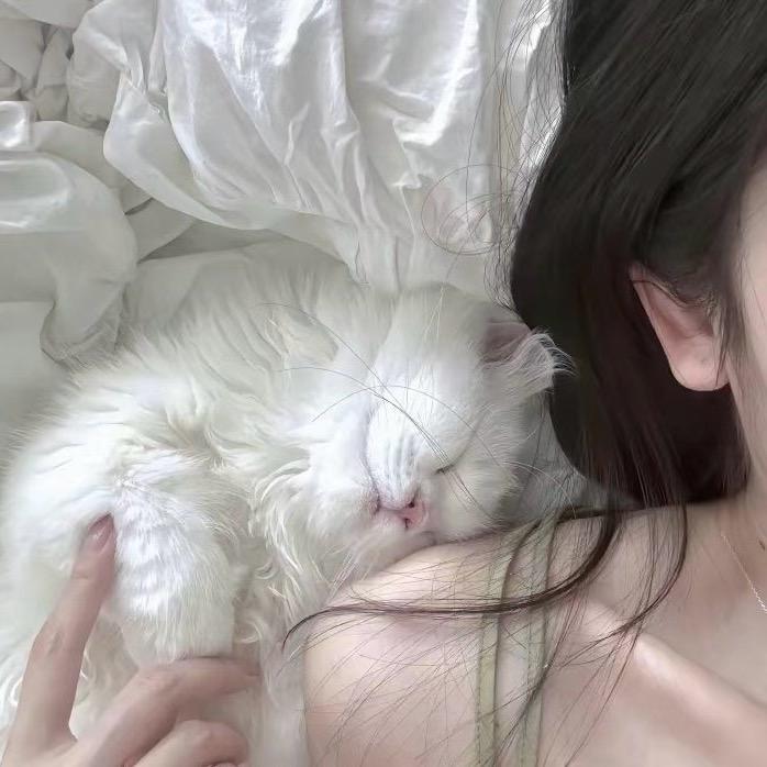 浅忆🌸