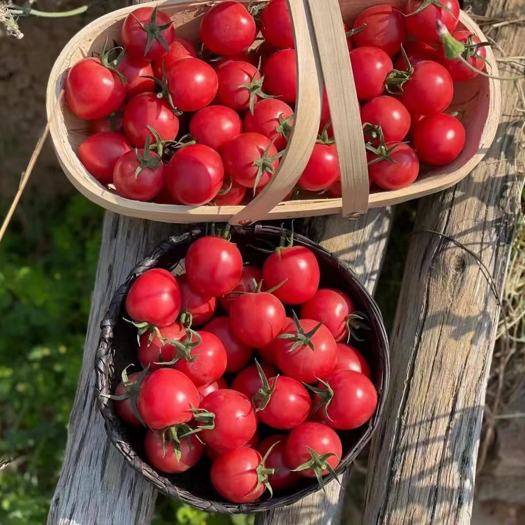 云涧鲜果蔬经营部