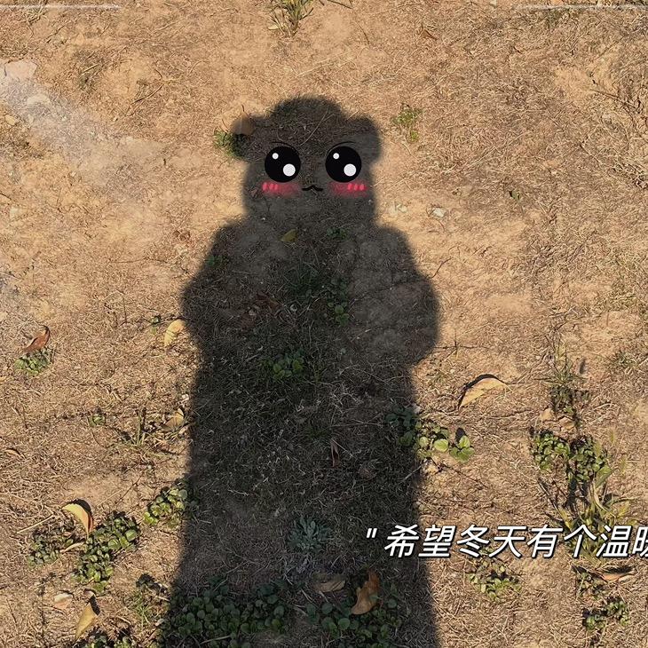 小河的小日常