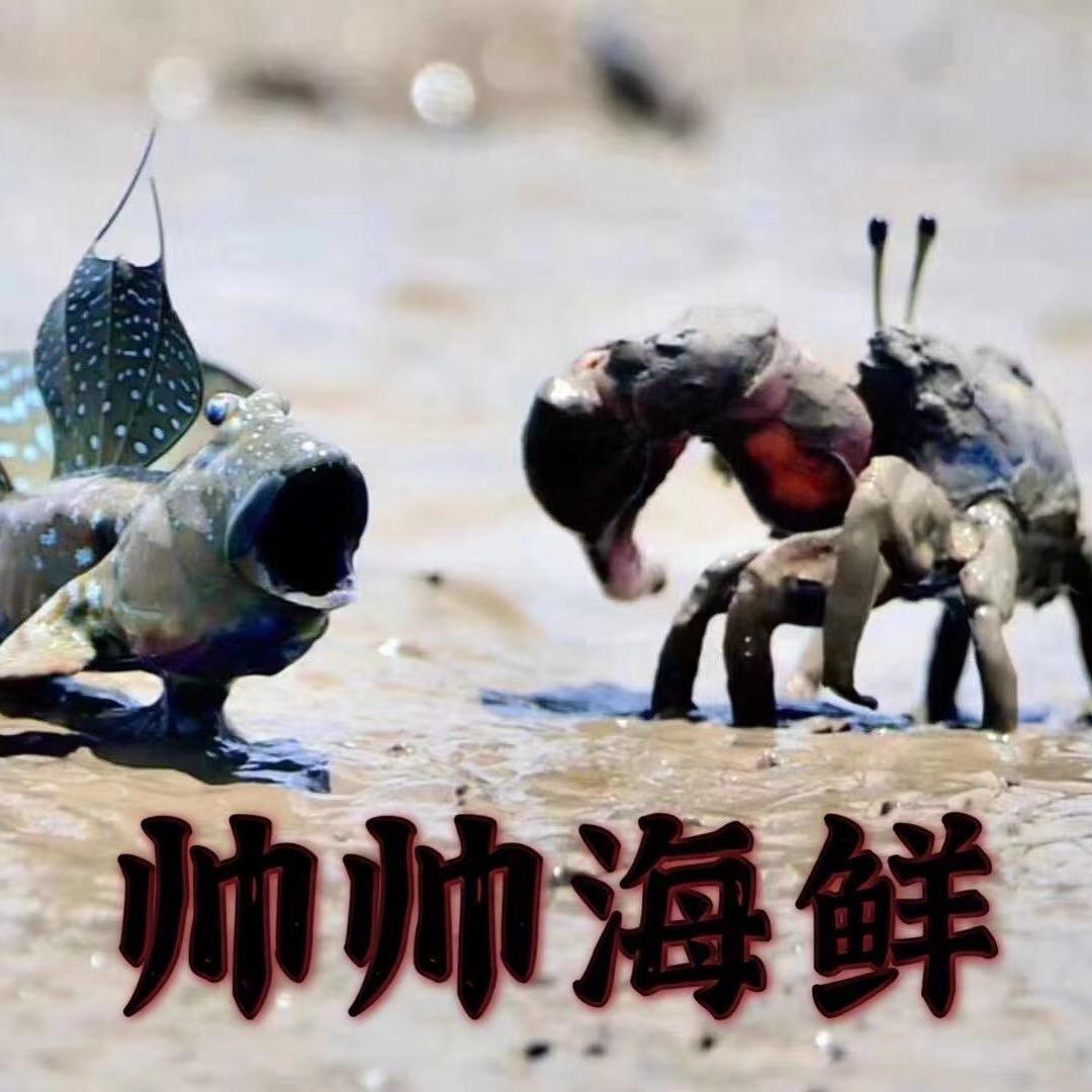 当日鲜帅帅海鲜