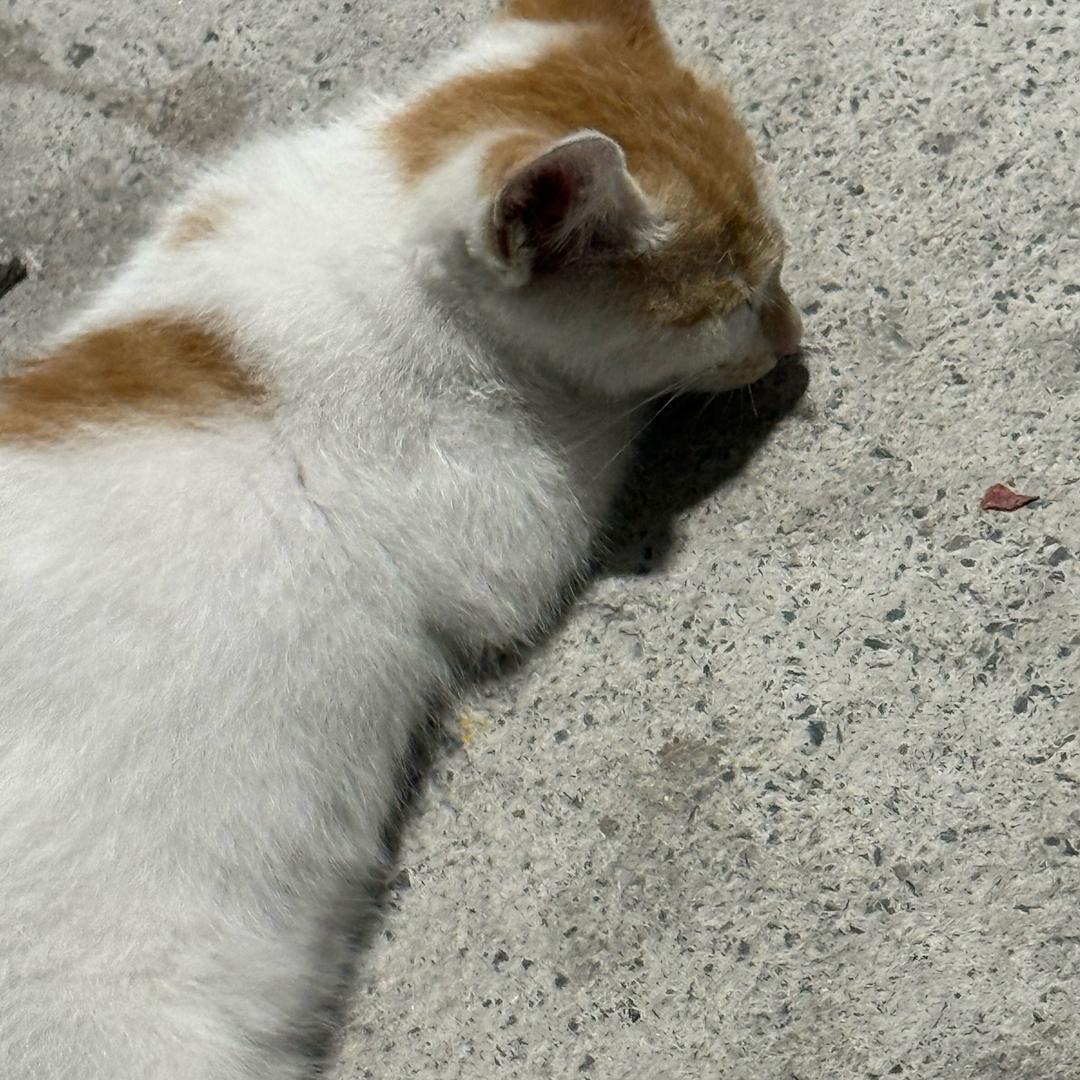 不知名人物已退