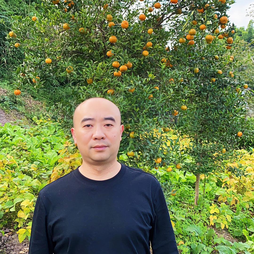 回乡（刘思军）