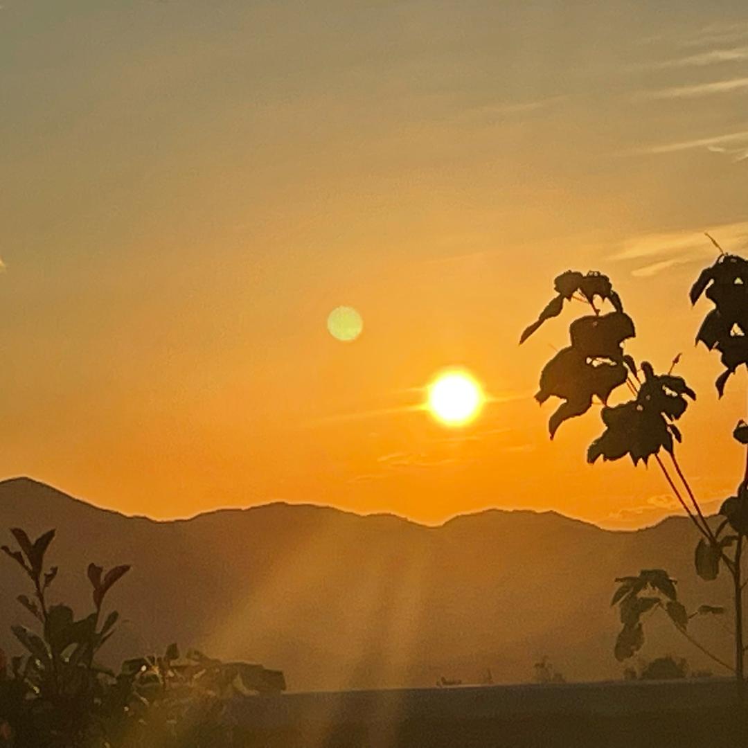 慢半拍的财无忧