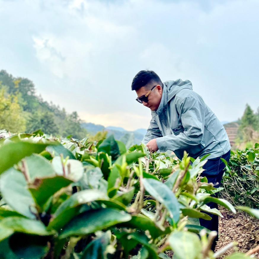 除了刷 就是看 从来我都不点赞