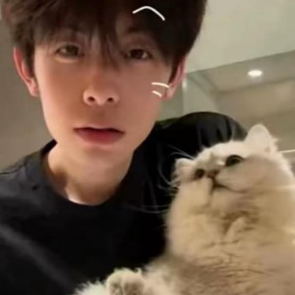 心情不好就怪你