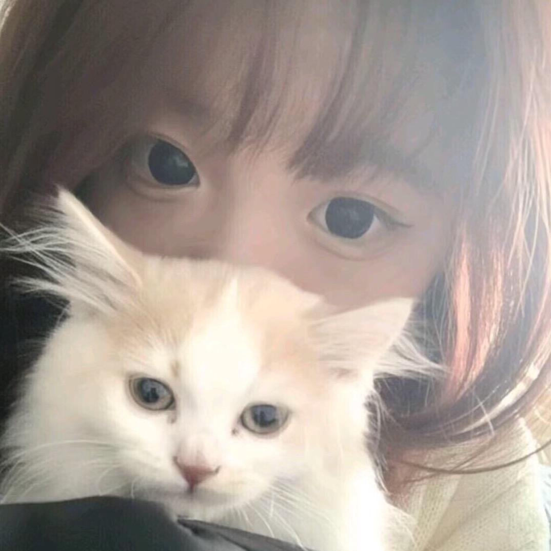 王道长