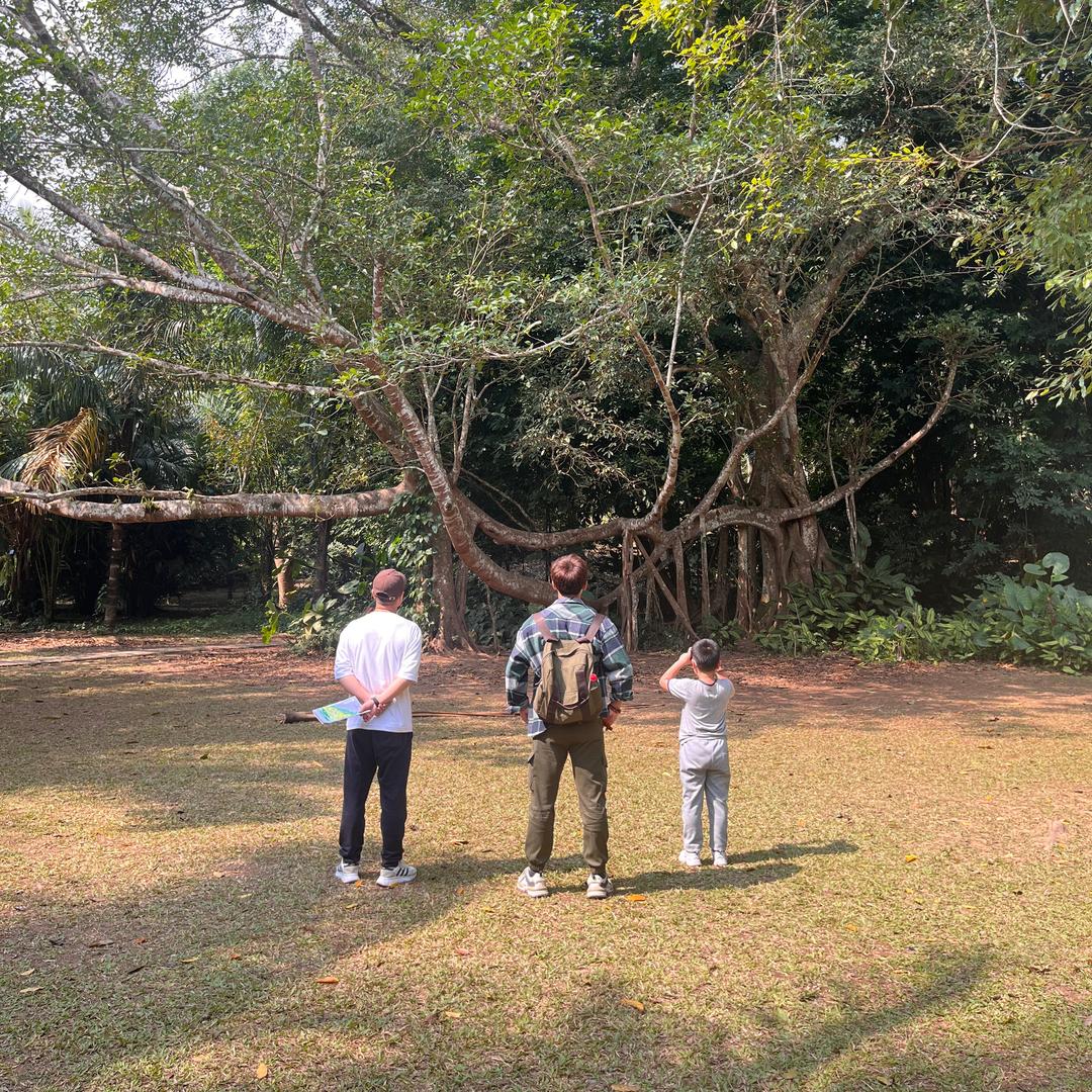 小曹在农村