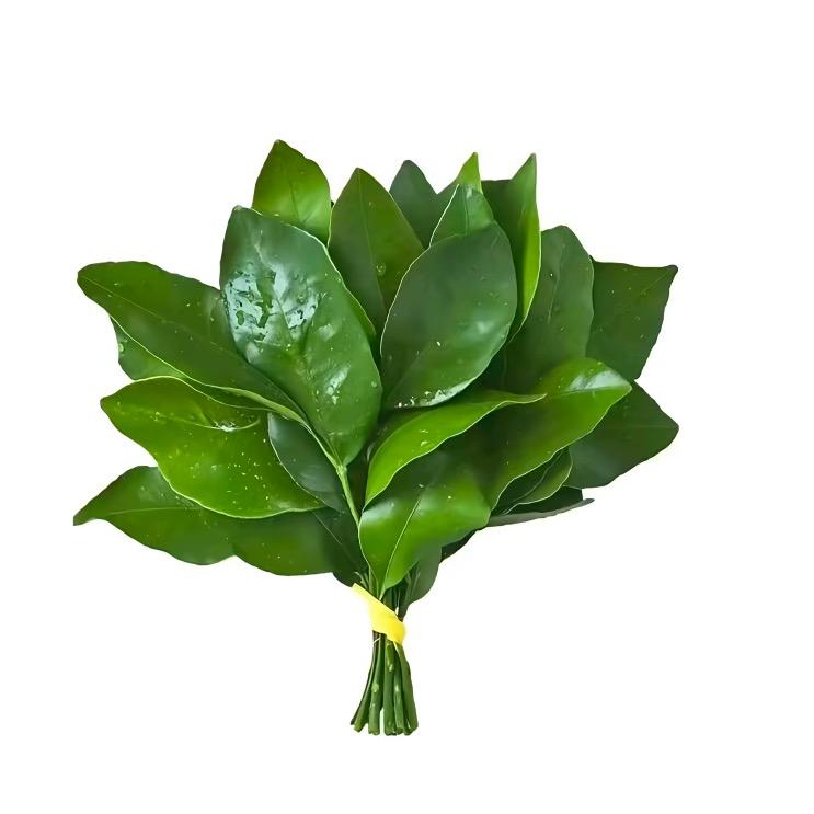 小鱼