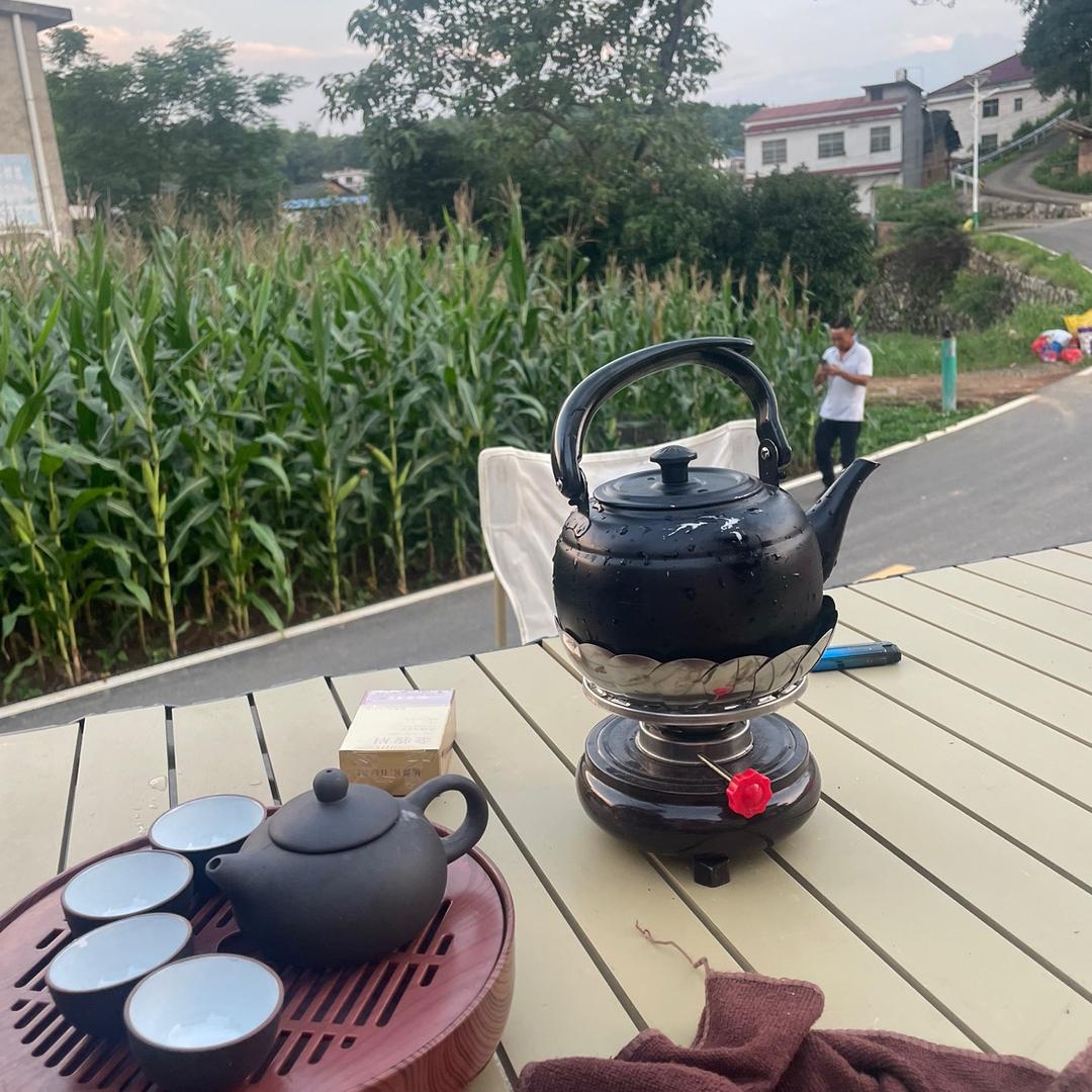 林振冰