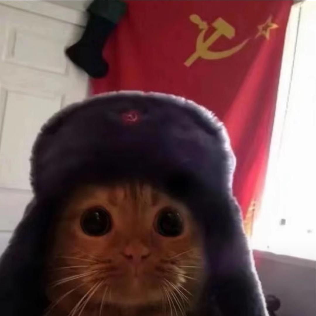 不是醒醒