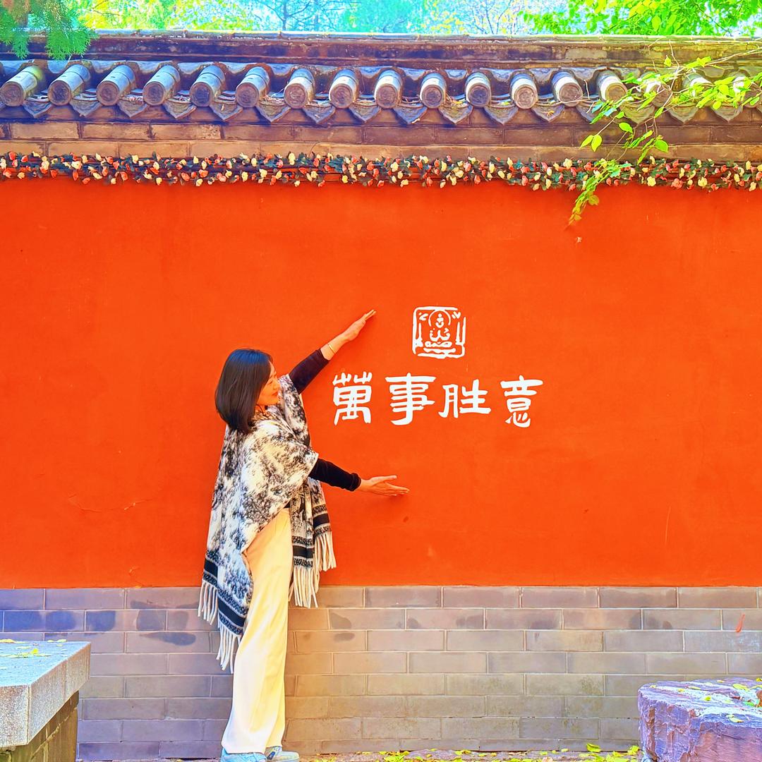 袁来是你.
