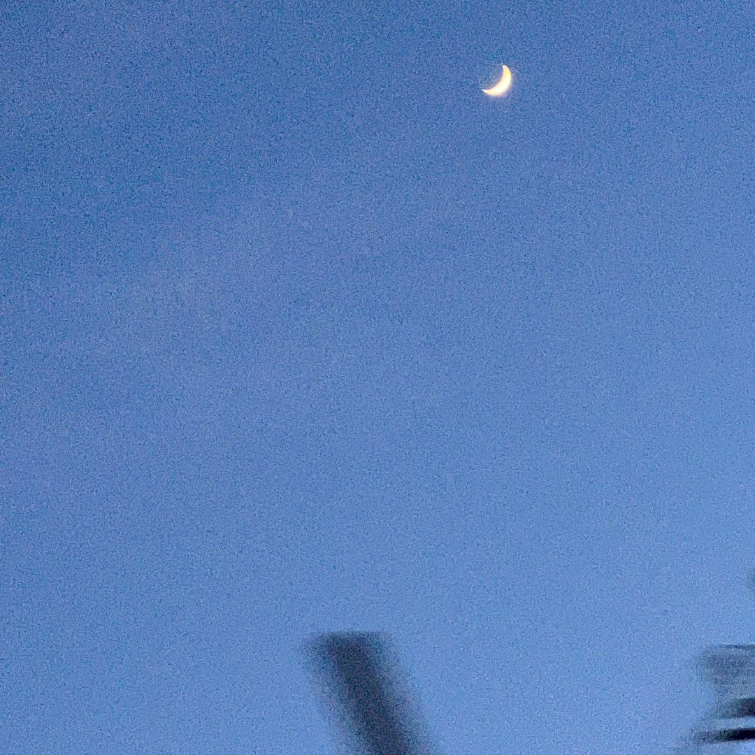 曾鲜艳