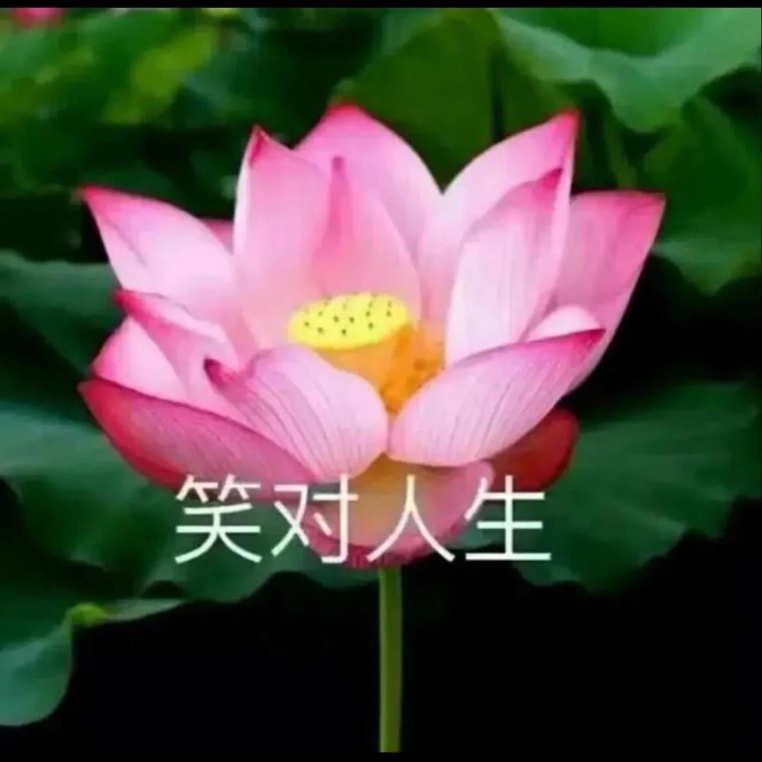 ·i花开富贵🌹