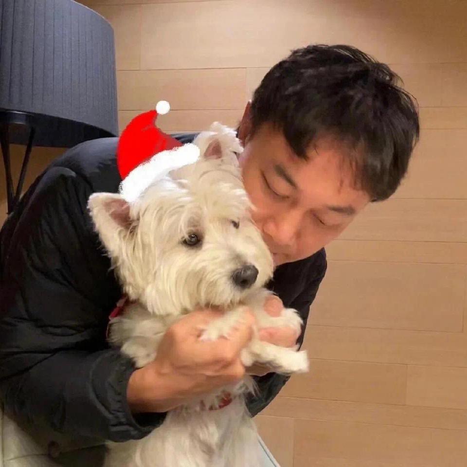 素质网友小马