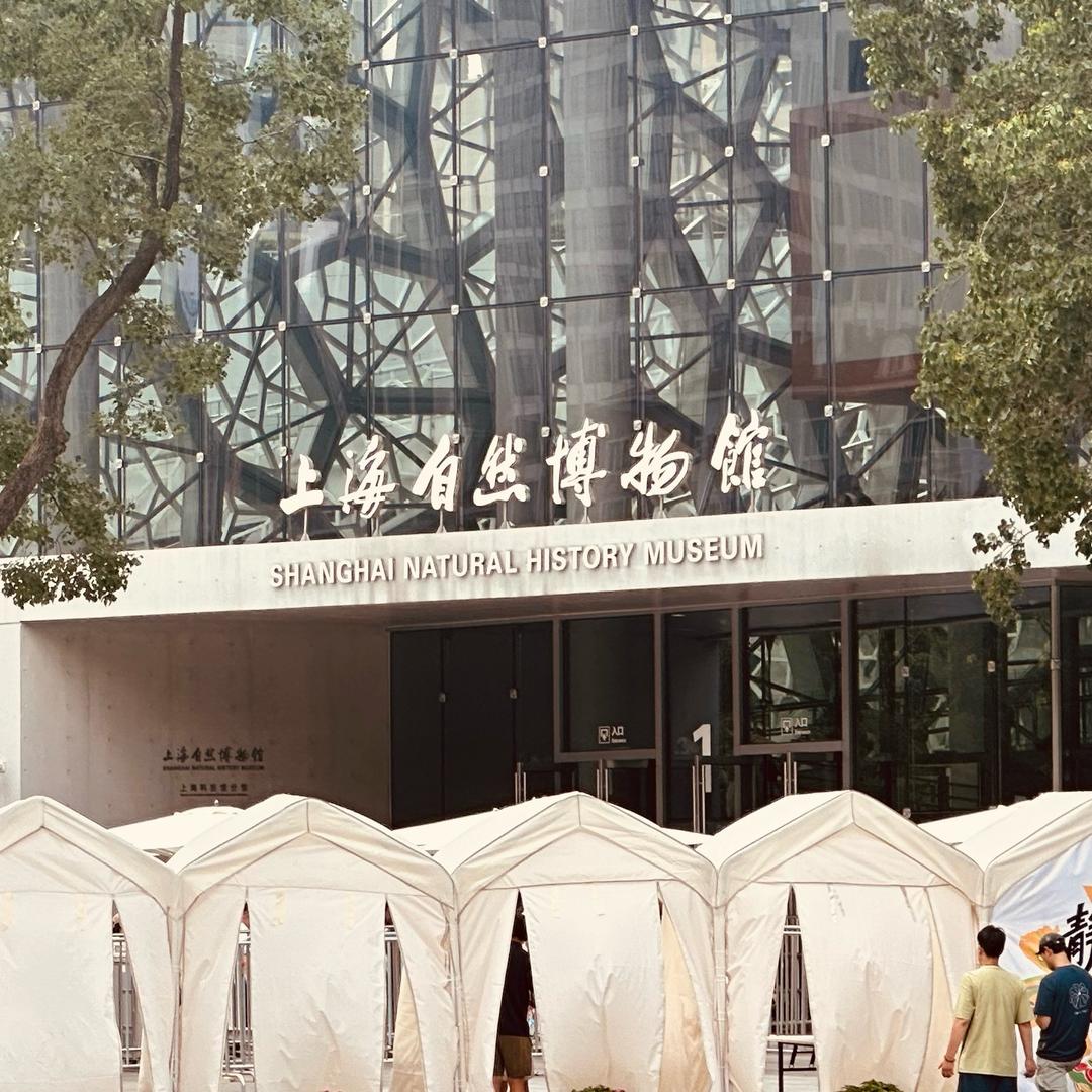 上海乐游推荐官员