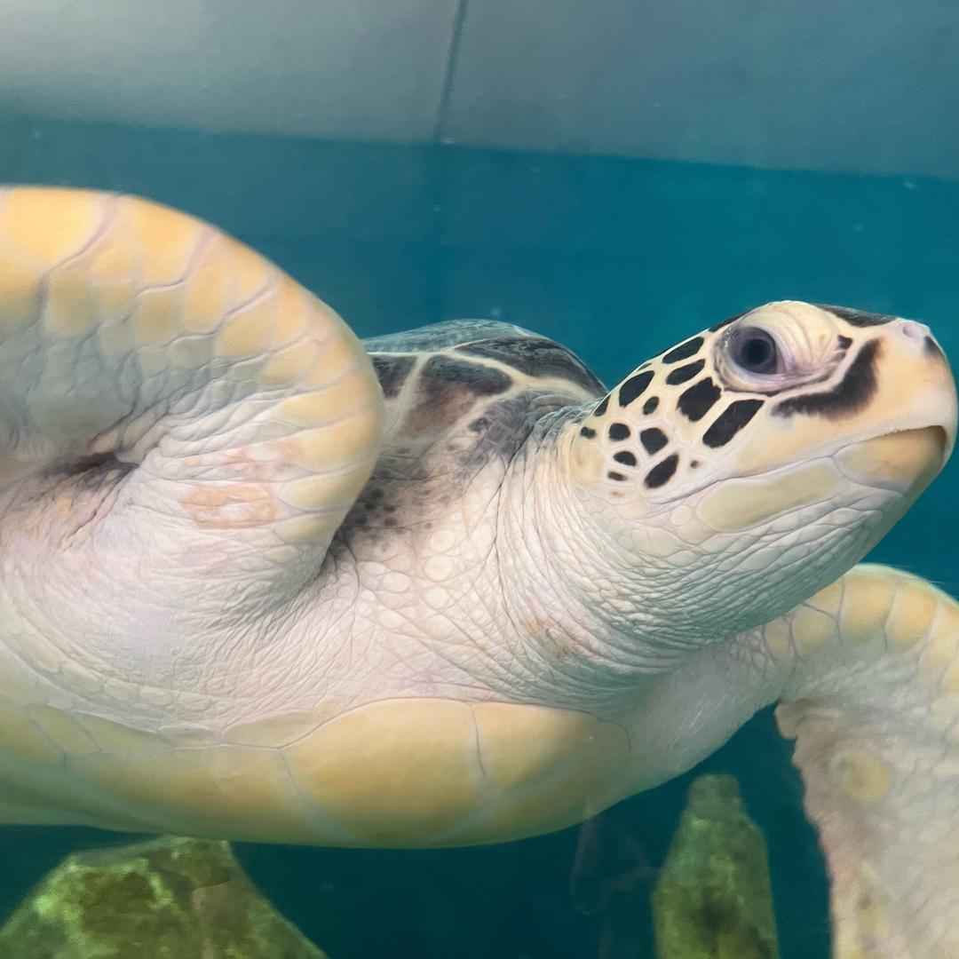 偷得浮生半日闲