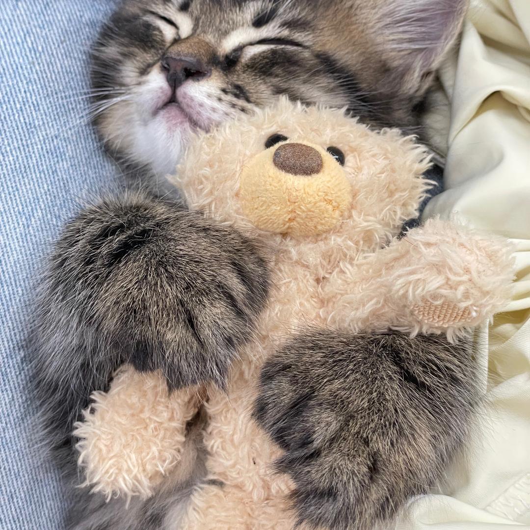 南工程喵喵学姐