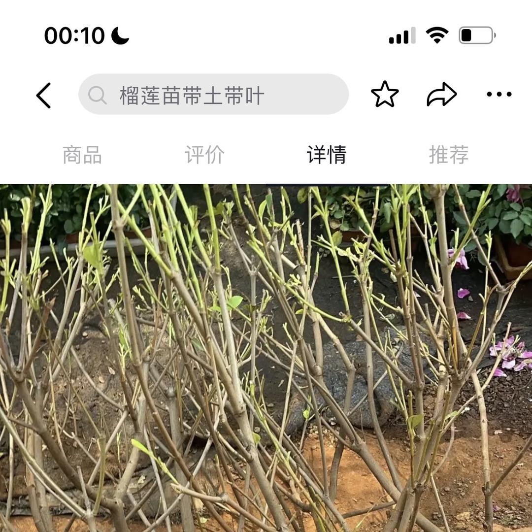 频岗农业科技发展的头像