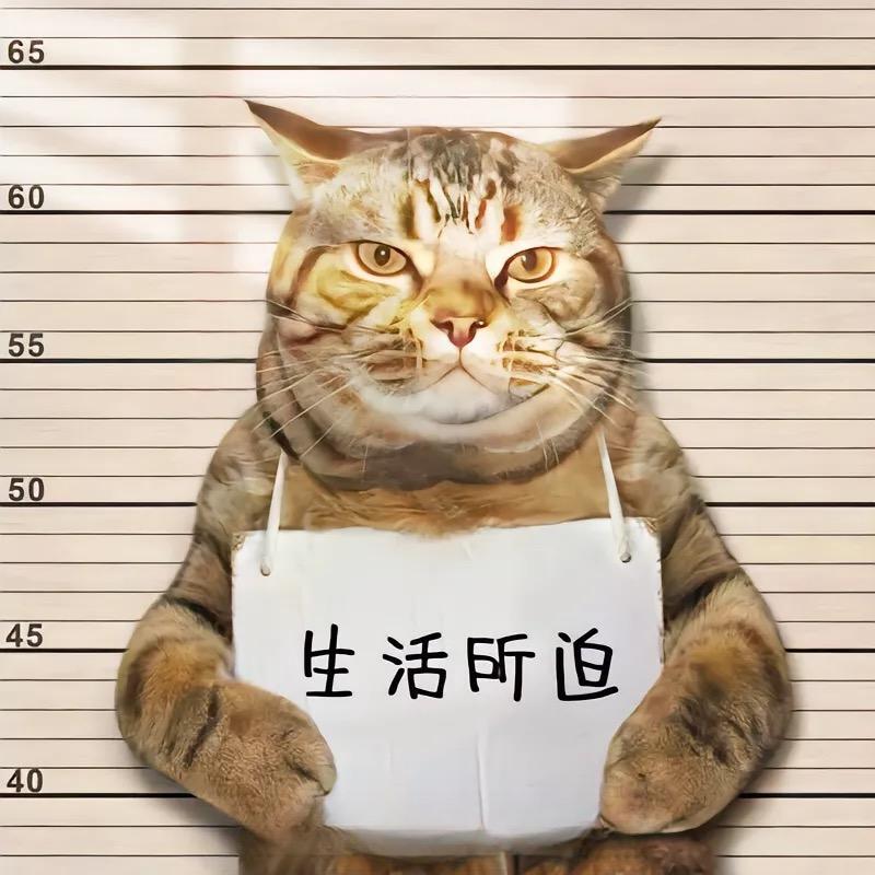 名字越怪 越有人爱