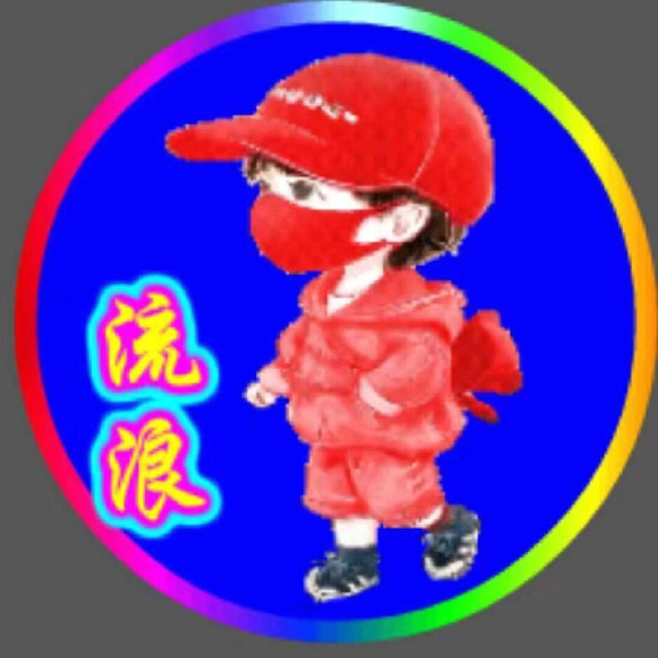 停止流浪