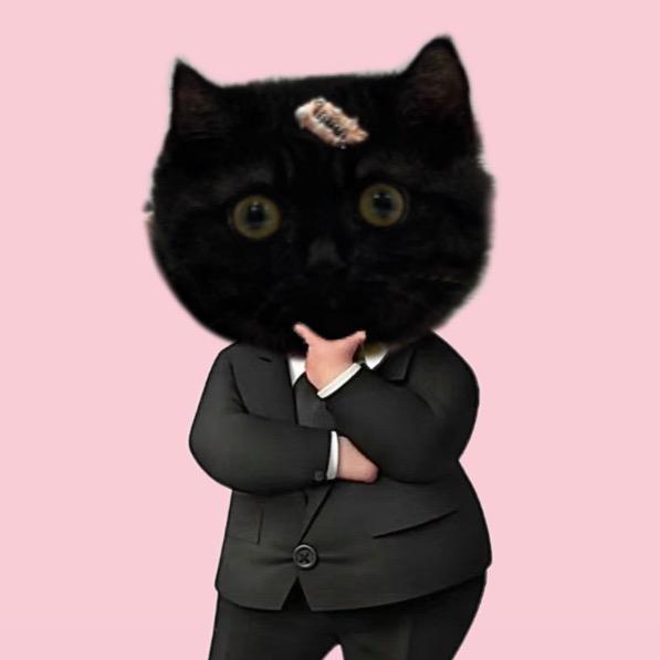 五岁岁的一家🐱