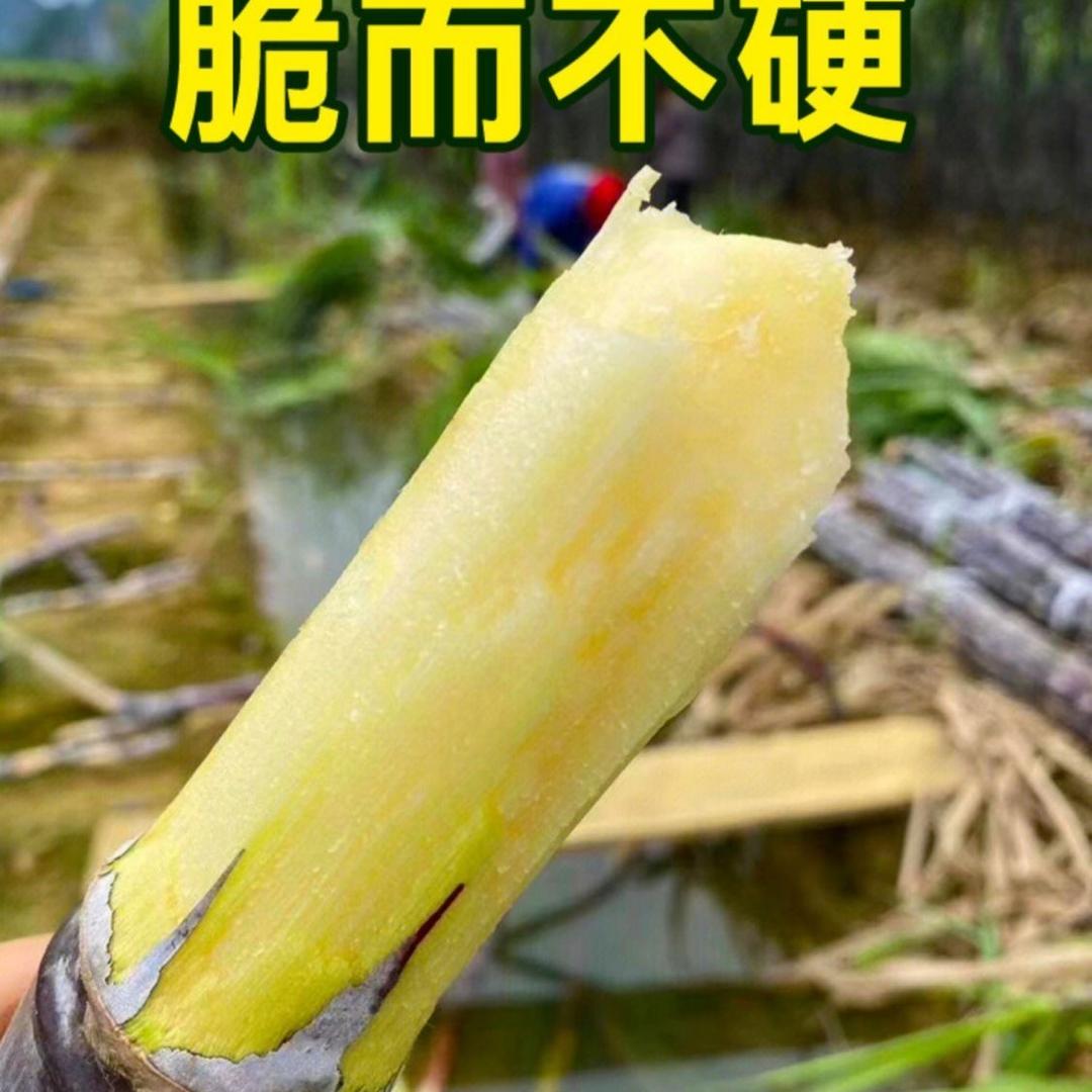 汇银兴果蔬