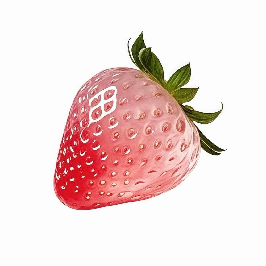 不想妮