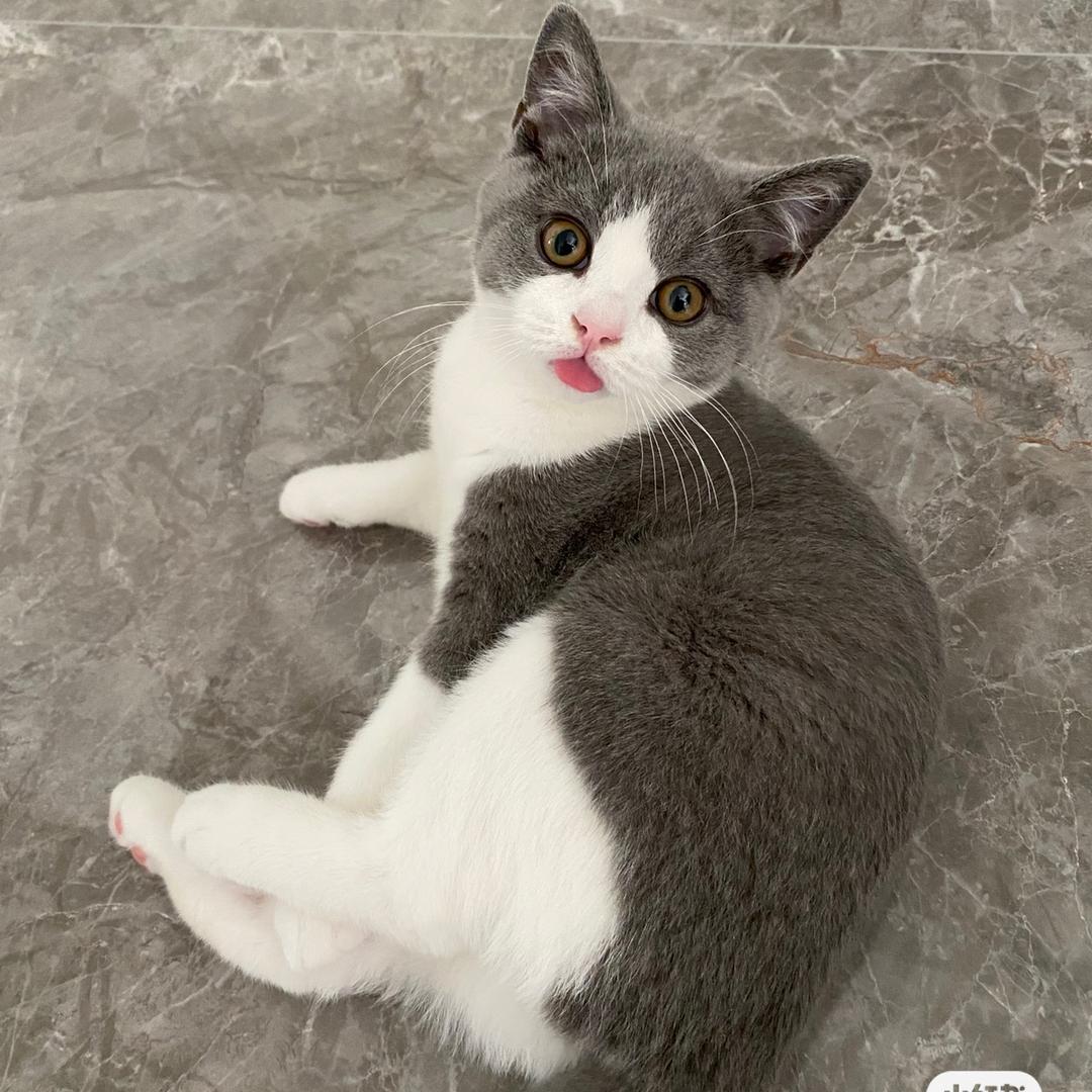 李瘦瘦