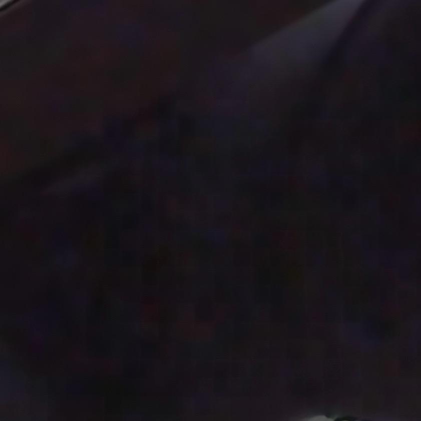 |ω・)و ̑̑༉糖糖的粉丝zꉂꉂ◟