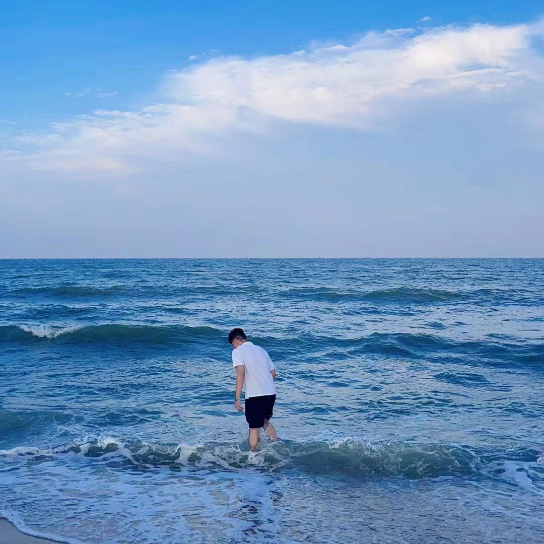 Aa临沂板栗批发