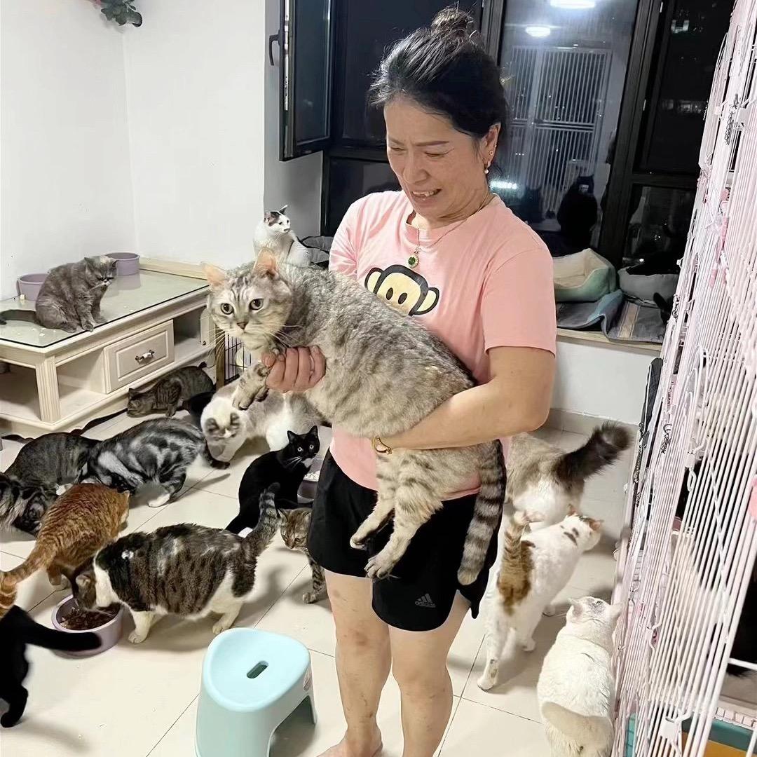 我是幸福的猫妈妈