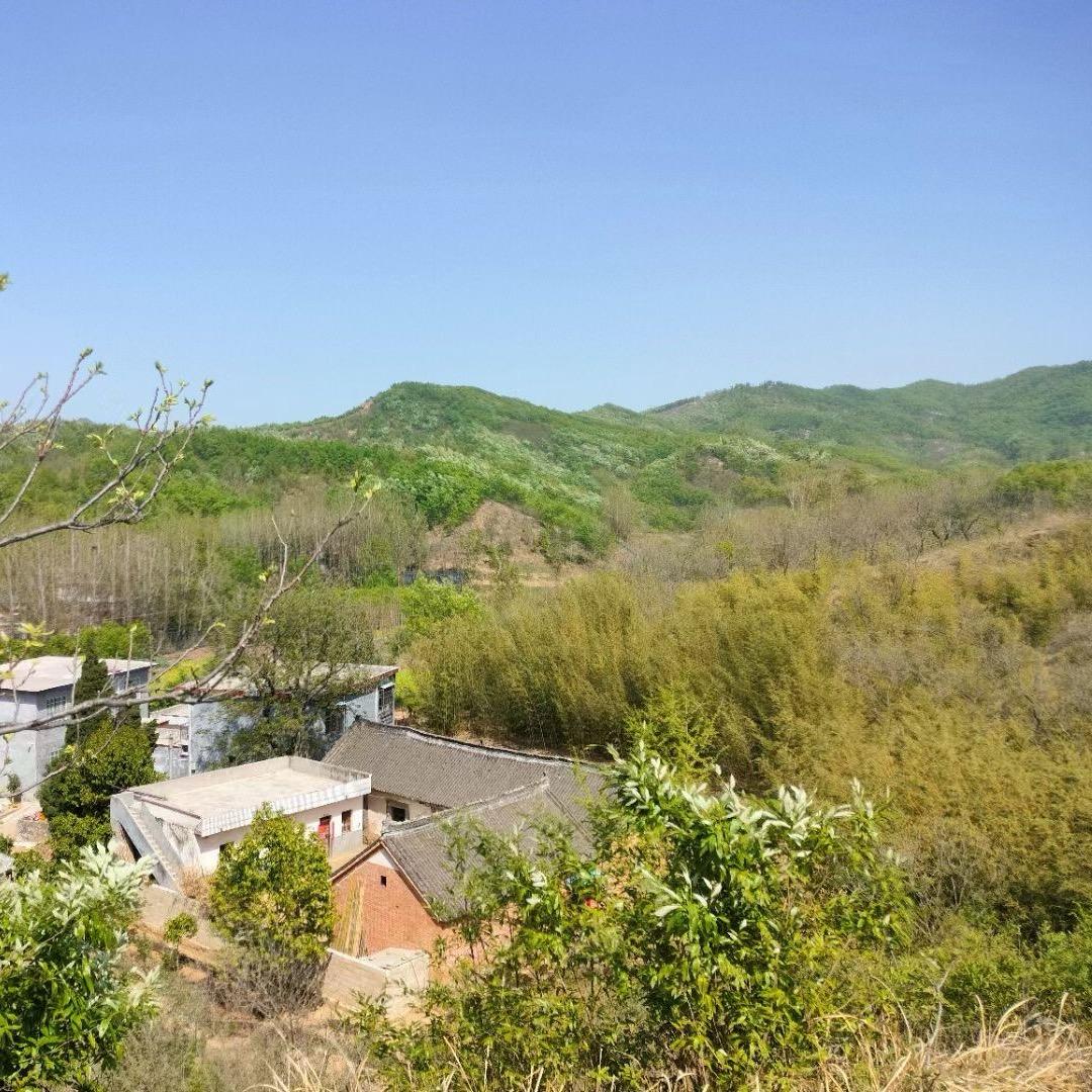 小杨瑜伽运动健身