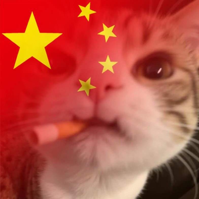 好快的刀.