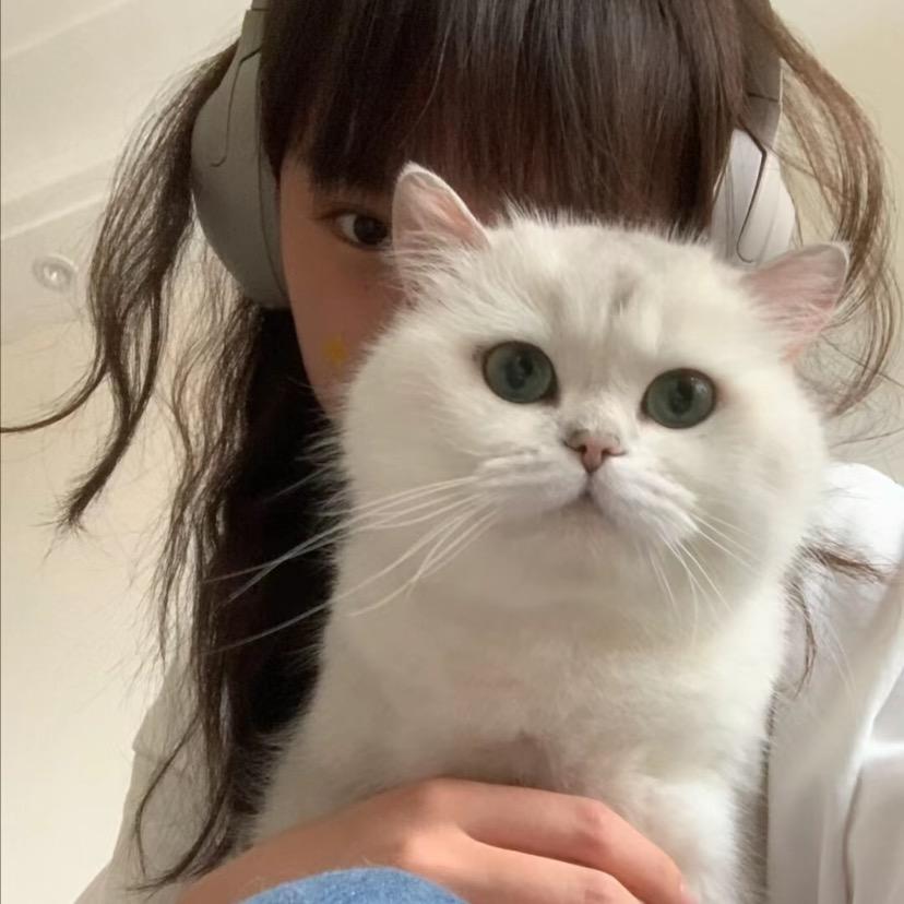 顺顺🫠