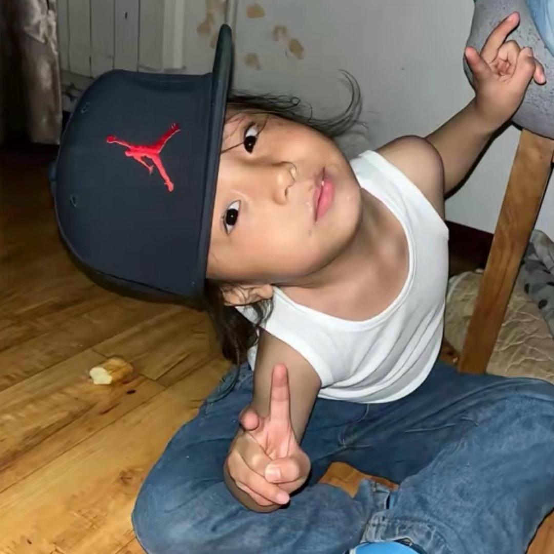 已经逐渐丧失与人类交流的能力