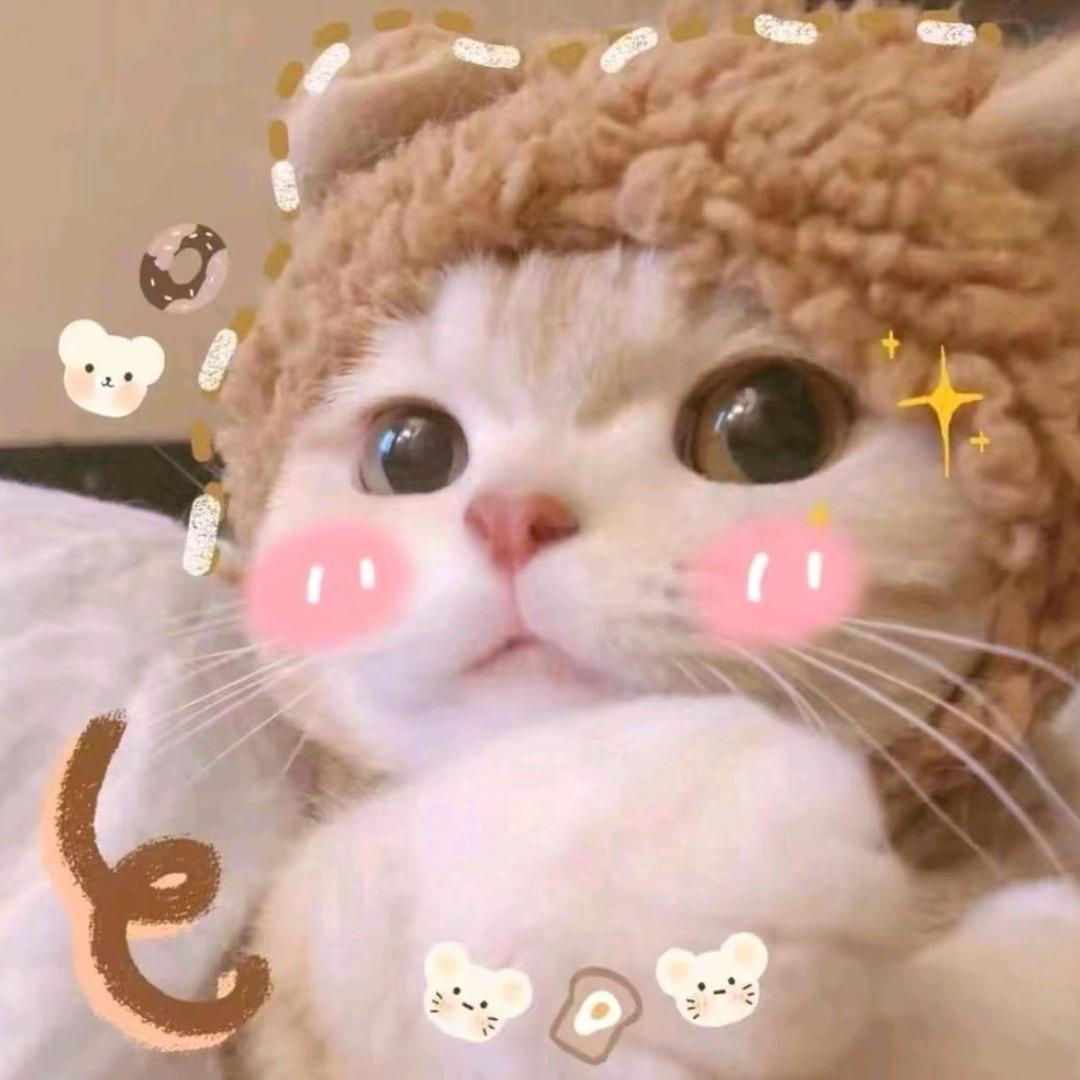 Tz🖤咸鱼之王⁹⁵⁰¹