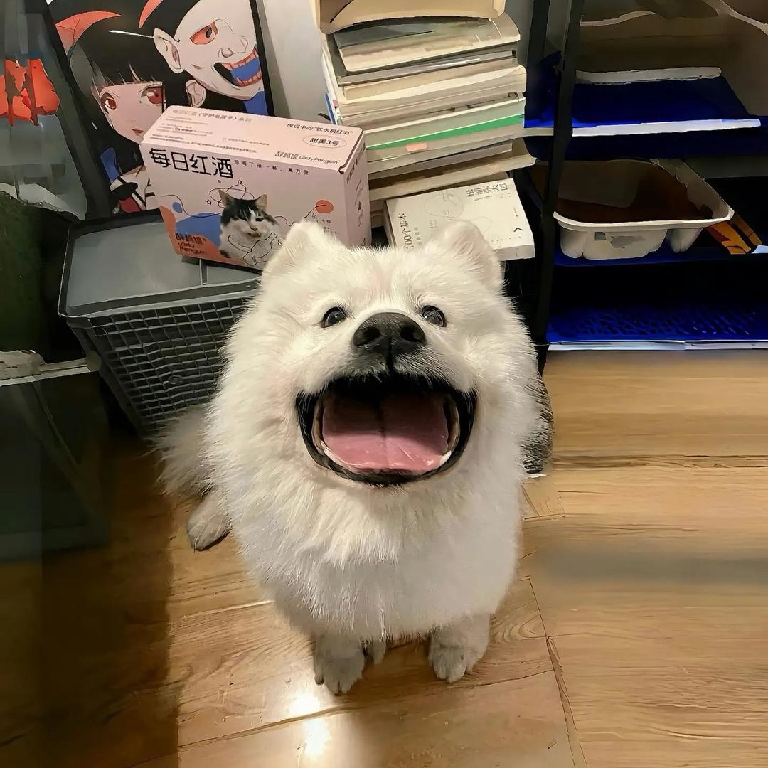: Bubblu
