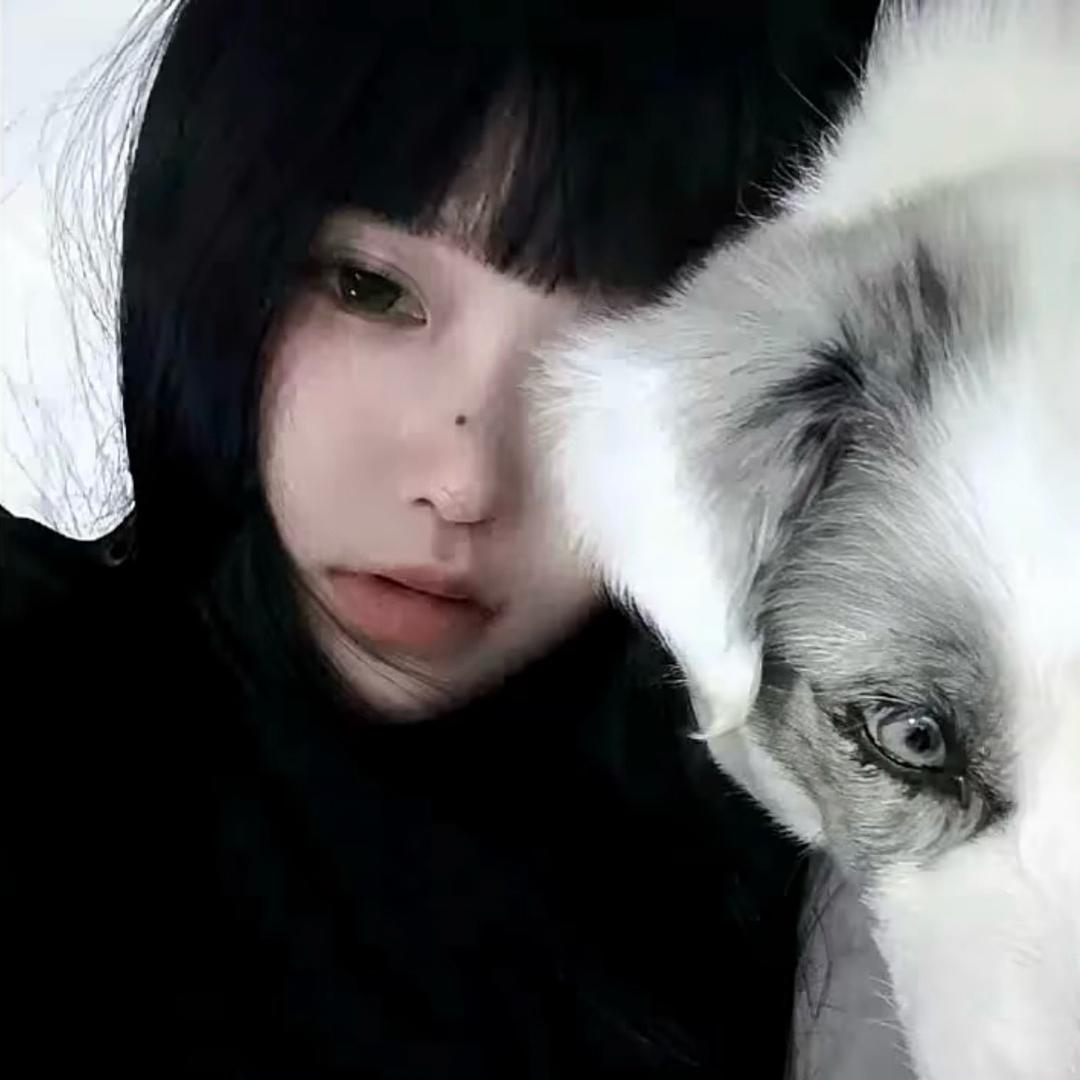 珍不乖'